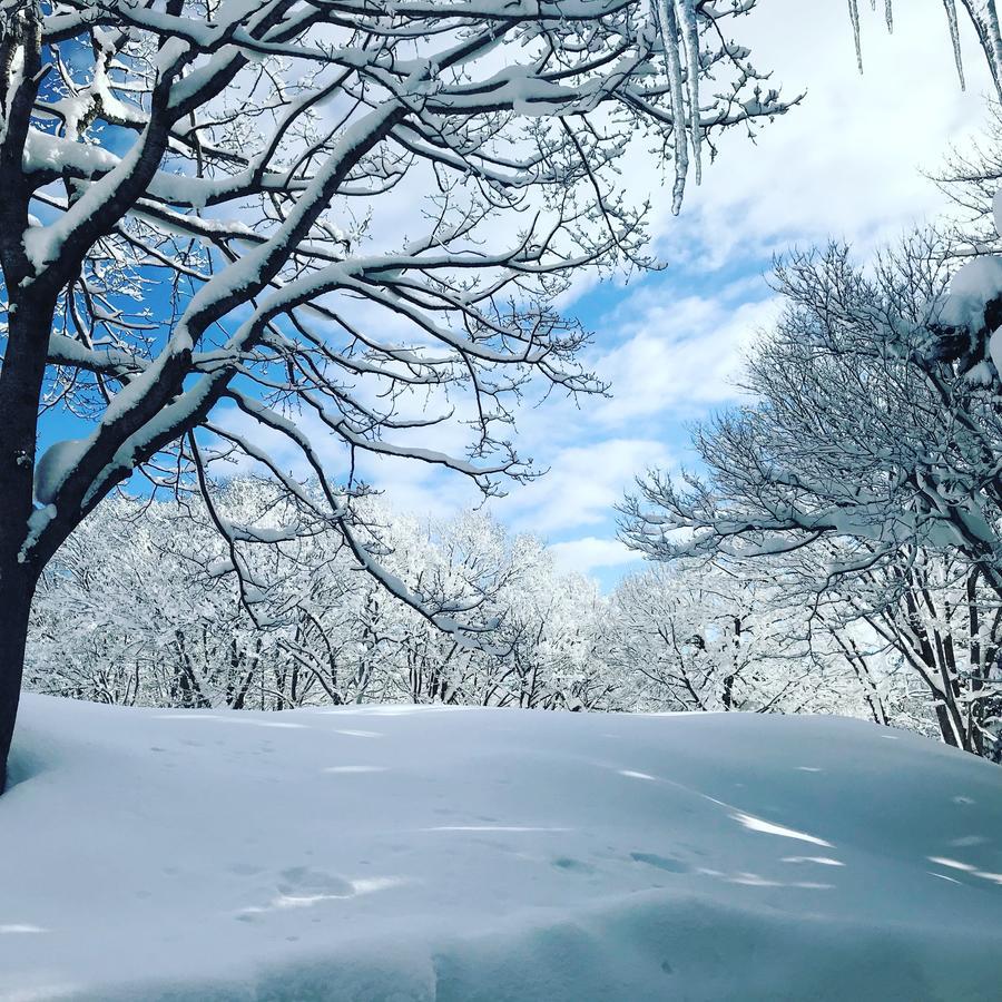 Base Camp The Lodge Myoko Bagian luar foto